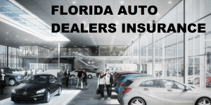 FLORIDA AUTO DEALER