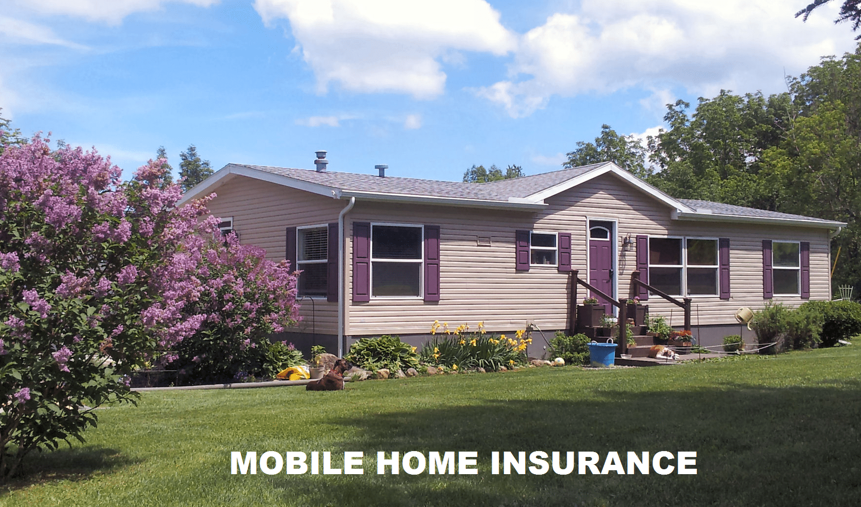 MOBILE HOME INSURANCE