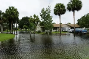 flood, insurance